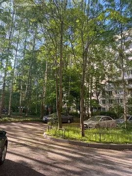 1-комнатная квартира: Санкт-Петербург, проспект Энгельса, 130к1 (32.1 ...