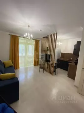 Студия Новосибирская область, Новосибирск Народная ул., 59 (31.0 м)