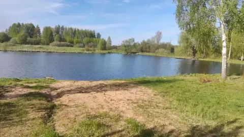 Участок в Московская область, Дмитровский муниципальный округ, д. ...