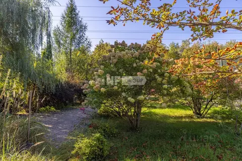 Участок в Москва д. Шаганино, ЖСКИЗ Шаганино тер., 26А (25.0 сот.)