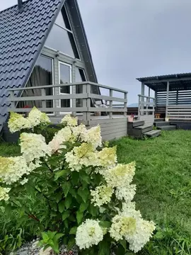 Дом в Алтай, Чемальский район, Элекмонарское с/пос, с. Элекмонар ул. ...