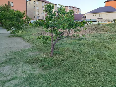 Участок в Адыгея, Тахтамукайский район, Яблоновский пгт Первомайская ...