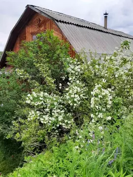 Дом в Пермский край, с. Бершеть  (29 м)