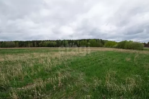 Участок в Тюменская область, Тюменский муниципальный округ, с. ...