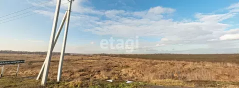 Участок в Ростовская область, Азовский район, с. Александровка  (6.0 ...