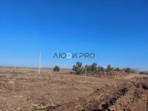 Участок в Алтайский край, Первомайский район, с. Фирсово Палитра жилой ...