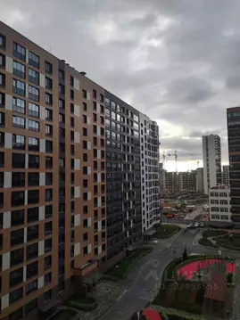 Студия Санкт-Петербург Дальневосточный просп., 19к1 (26.0 м)