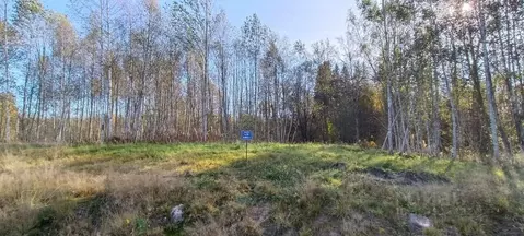 Участок в Ленинградская область, Выборгский район, Полянское с/пос, ...