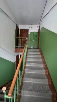 Комната Пензенская область, Пенза ул. Чаадаева, 97 (12.0 м)