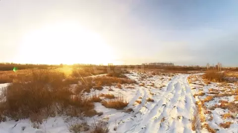 Участок в Тюменская область, Ялуторовский муниципальный округ, СО ...