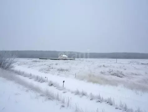 Участок в Тульская область, Узловая ул. Квасникова (12.0 сот.)