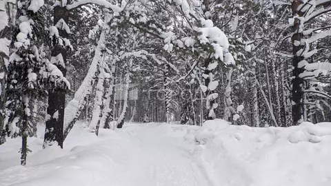 Участок в Кемеровская область, Новокузнецкий муниципальный округ, с. ...