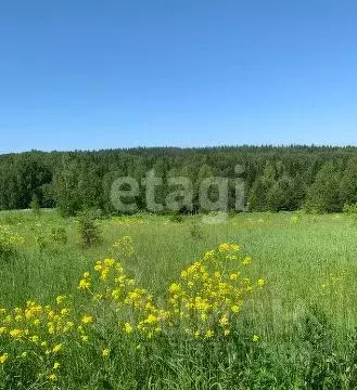Участок в Пермский край, Пермский муниципальный округ, д. Пашня  ...