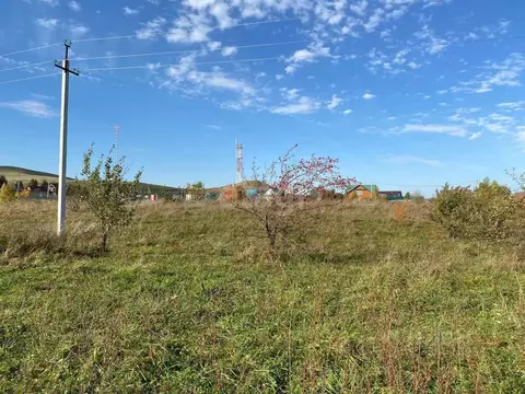 Участок в Алтайский край, Алтайский район, Айский сельсовет, ...