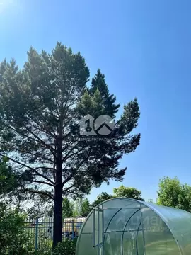 Дом в Новосибирская область, Мошковский район, Ромашка-1 СНТ 91 (30 м)