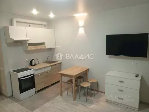 Студия Ленинградская область, Ломоносовский район, Виллозское ...