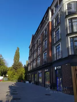 Студия Калининградская область, Светлогорск Калининградский просп., ...