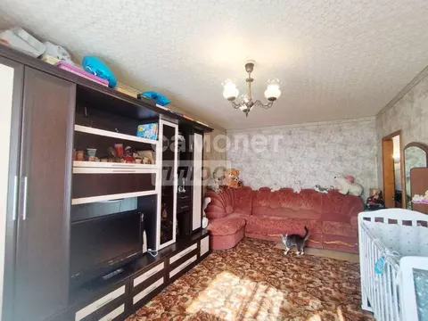 2-к кв. Брянская область, Брянск Московский мкр, 39 (52.6 м)