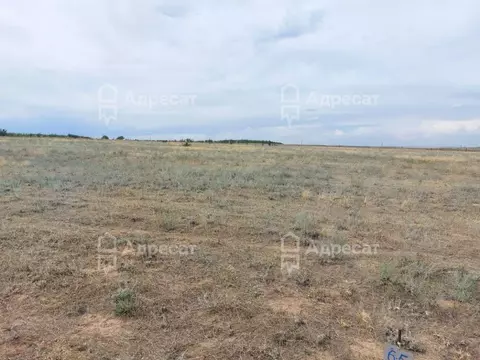 Участок в Волгоградская область, Дубовский район, Пичужинское с/пос, ...