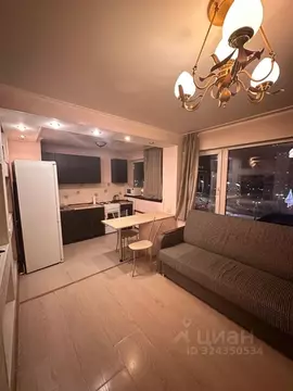 1-к кв. Санкт-Петербург Московский просп., 224 (33.0 м)