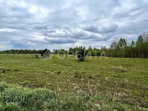 Участок в Тюменская область, Нижнетавдинский муниципальный округ, пос. ...