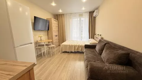 Студия Краснодарский край, Сочи ул. Искры, 88к3 (29.0 м)