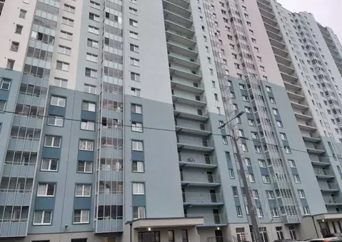 Студия Санкт-Петербург ул. Пахомовская, 26 (21.0 м)