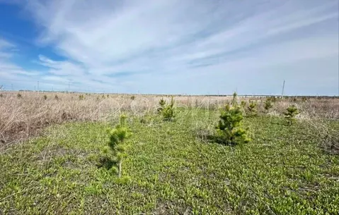Участок в Тюменская область, Тюменский район, д. Малиновка  (5.0 сот.)