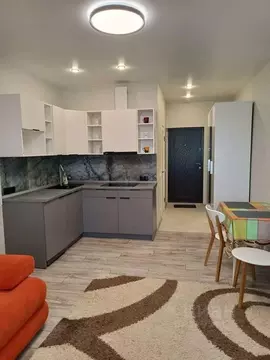 2-к кв. Алтайский край, Барнаул Северо-Западная ул., 62 (49.7 м)