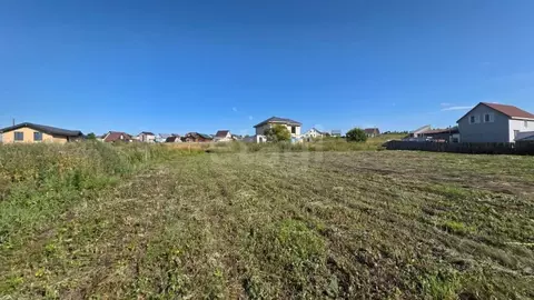 Участок в Алтайский край, Павловский район, с. Шахи ул. Вишневая (15.0 ...