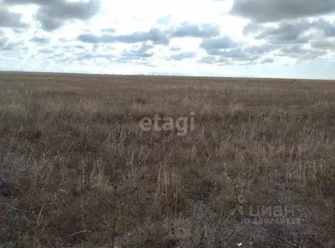 Участок в Крым, Сакский район, Уютненское с/пос, ОСК Союз-2004 тер. ...