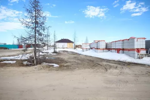 Участок в Ямало-Ненецкий АО, Новый Уренгой Мечта СНТ, ул. Ивовая (6.0 ...