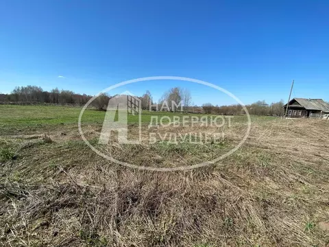 Участок в Пермский край, Чайковский городской округ, с. Кемуль  ...