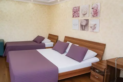 Студия Оренбургская область, Бузулук ул. Рожкова, 36 (33.0 м)