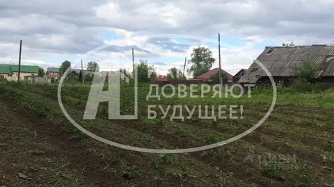 Участок в Пермский край, Чусовской городской округ, Калино рп ул. ...