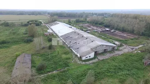 Производственное помещение в Новосибирская область, Новосибирский ...