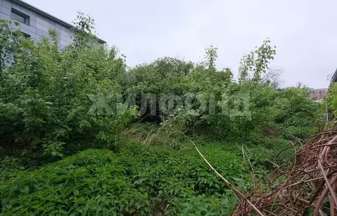 Участок в Новосибирская область, Новосибирск Дальняя ул. (20.0 сот.)