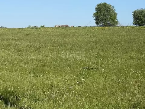 Участок в Калужская область, Перемышльский муниципальный округ, ...