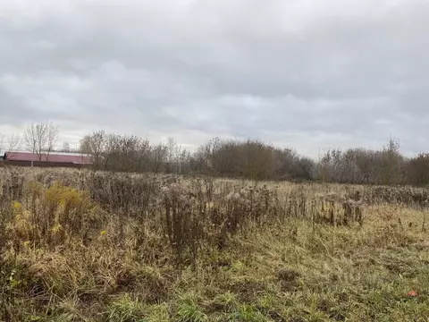 Участок в Московская область, Луховицы муниципальный округ, с. ...