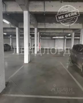 Помещение свободного назначения в Ростовская область, Ростов-на-Дону ...