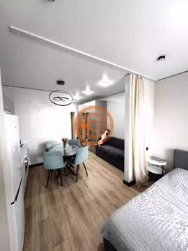 Студия Тюменская область, Тюмень Комбинатская ул., 54к2 (24.6 м)