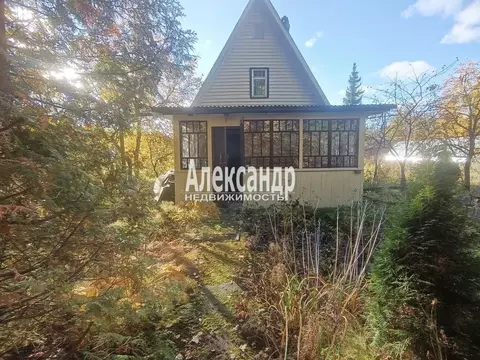 Дом в Ленинградская область, Выборг Ручьи СНТ, туп. 1-й Оливковый, 6 ...