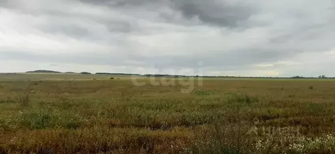 Участок в Татарстан, Тукаевский район, Азьмушкинское с/пос, с. Старые ...