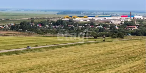 Участок в Владимирская область, Юрьев-Польский муниципальный округ, с. ...