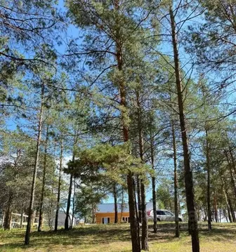 Участок в Саха (Якутия), Якутск Баал Заимката тер., ул. Сайдыы (10.0 ...