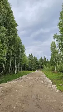 Участок в Пермский край, Краснокамский муниципальный округ, пос. ...