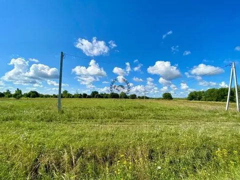 Участок в Калужская область, Перемышль с/пос, д. Жашково  (15.0 сот.)