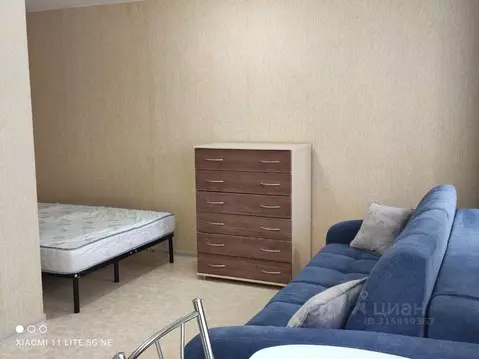 Студия Вологодская область, Сокол ул. Добролюбова, 11 (26.0 м)