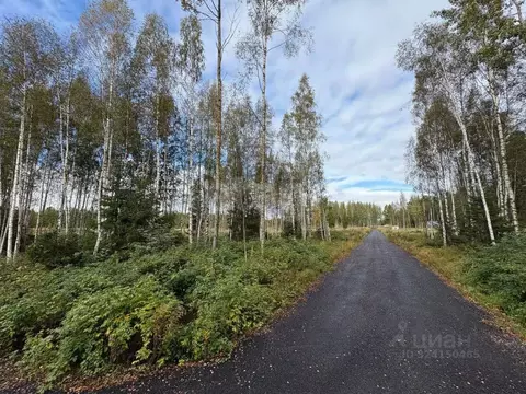 Участок в Ленинградская область, Всеволожский район, Куйвозовское ...