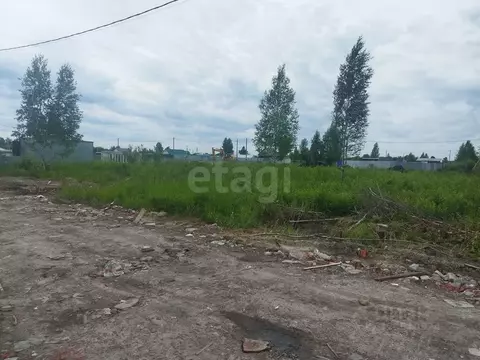 Участок в Тюменская область, Тюмень Большое Царево-1 СНТ,  (5.0 сот.)